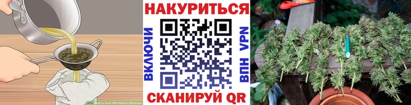 Canna-Cookies марихуана  kraken   Алексеевка 