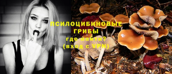 дмт Няндома