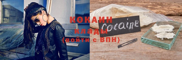 стаф Новодвинск
