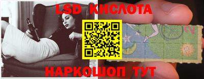 крисы Гатчина