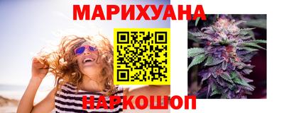 крисы Гатчина