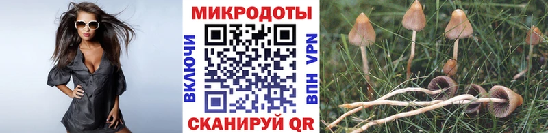 Галлюциногенные грибы прущие грибы  Алексеевка 