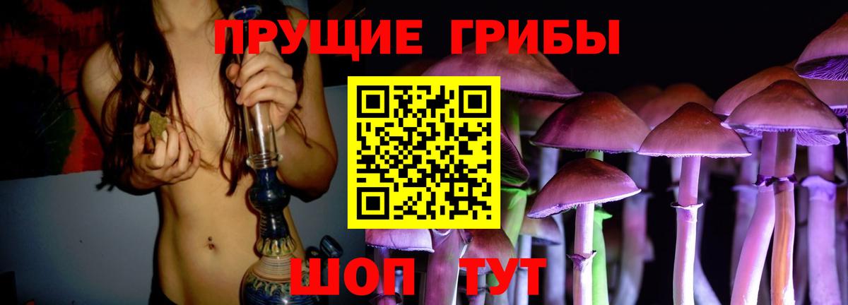 Галлюциногенные грибы Psilocybine cubensis  Алексеевка  Псилоцибиновые грибы MAGIC MUSHROOMS 