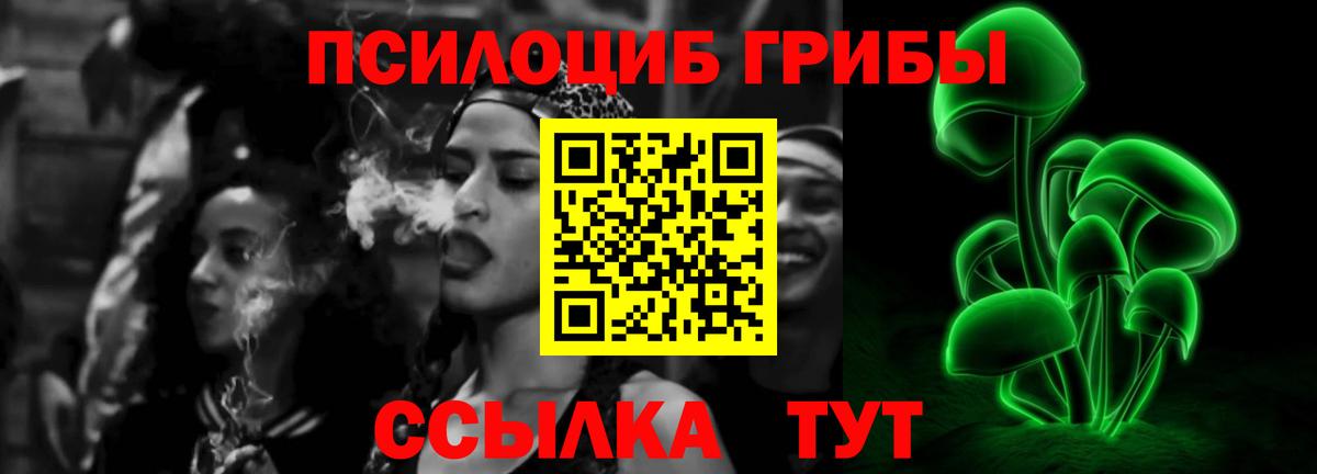 Алексеевка  Галлюциногенные грибы Cubensis  Вход с VPN 